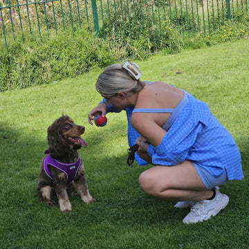 A woman crouching beside a brown spaniel with a ball in a garden.