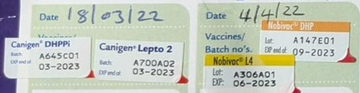 Close-up of a dog vaccination record showing DHPPi and leptospirosis vaccine stickers.