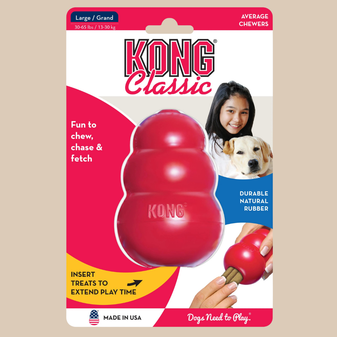 Kongs