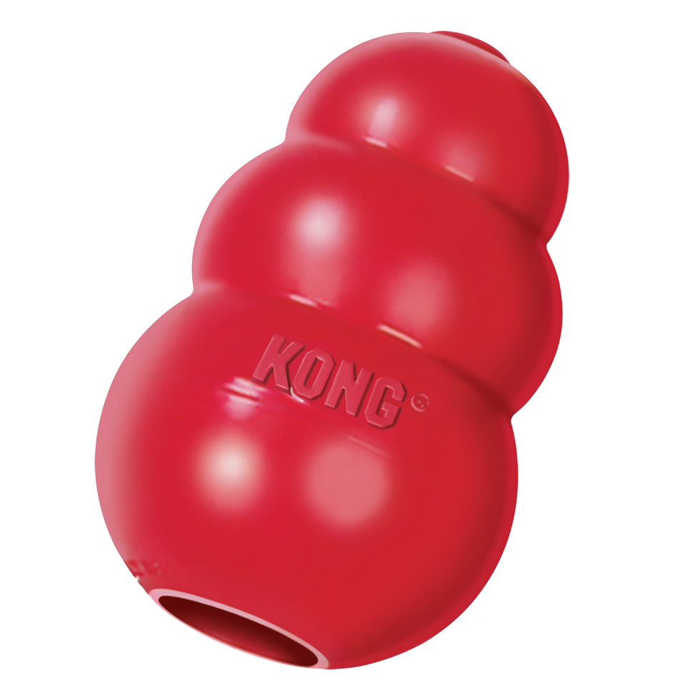 KONG Classic L