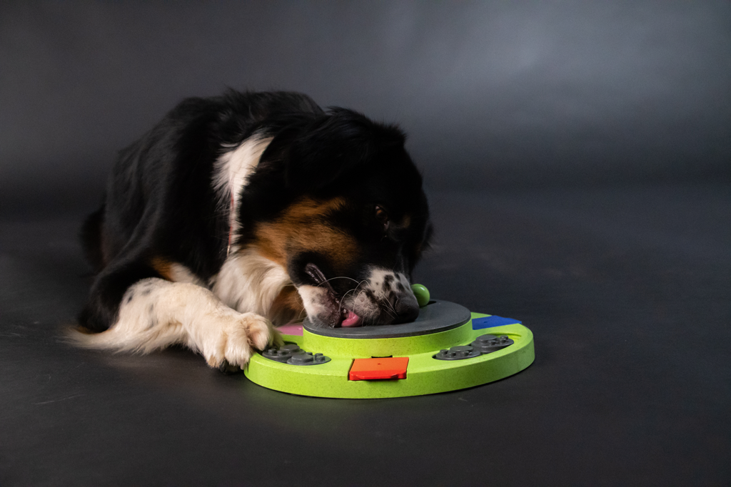 Eat Slowly Live Longer Puzzle Circle