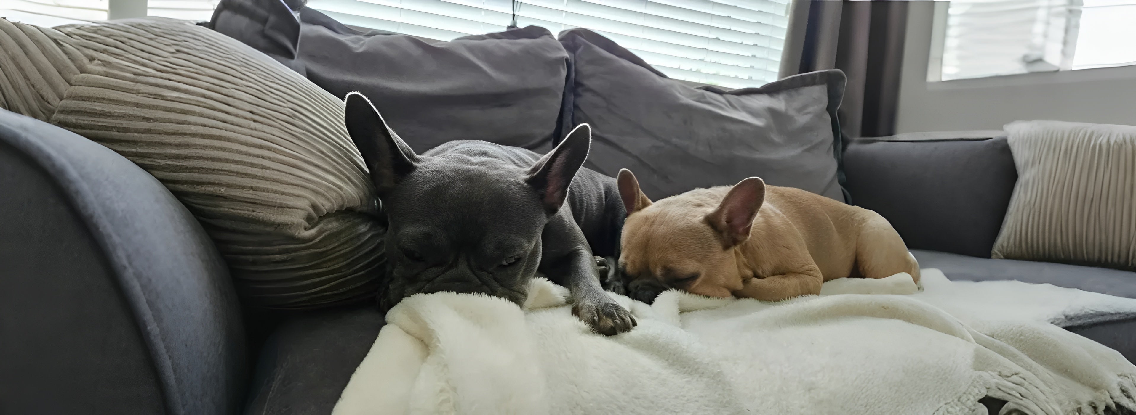 slider image 1621243260e1af0c20-0